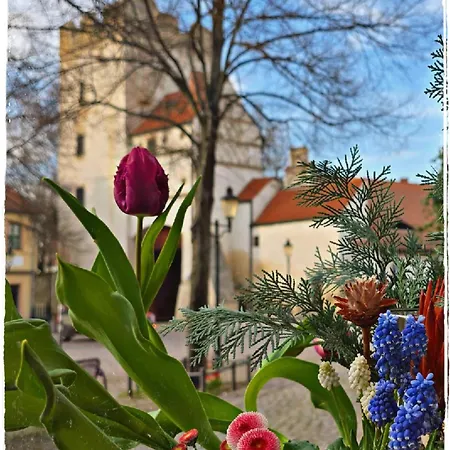 Gaestehaus Am Stadttor