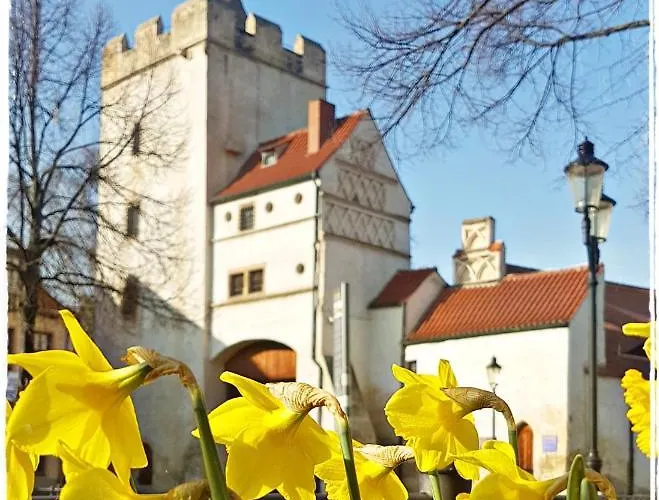 Gaestehaus Am Stadttor 3* Νάουμπουργκ