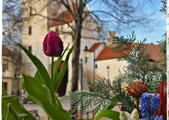 Gaestehaus Am Stadttor
